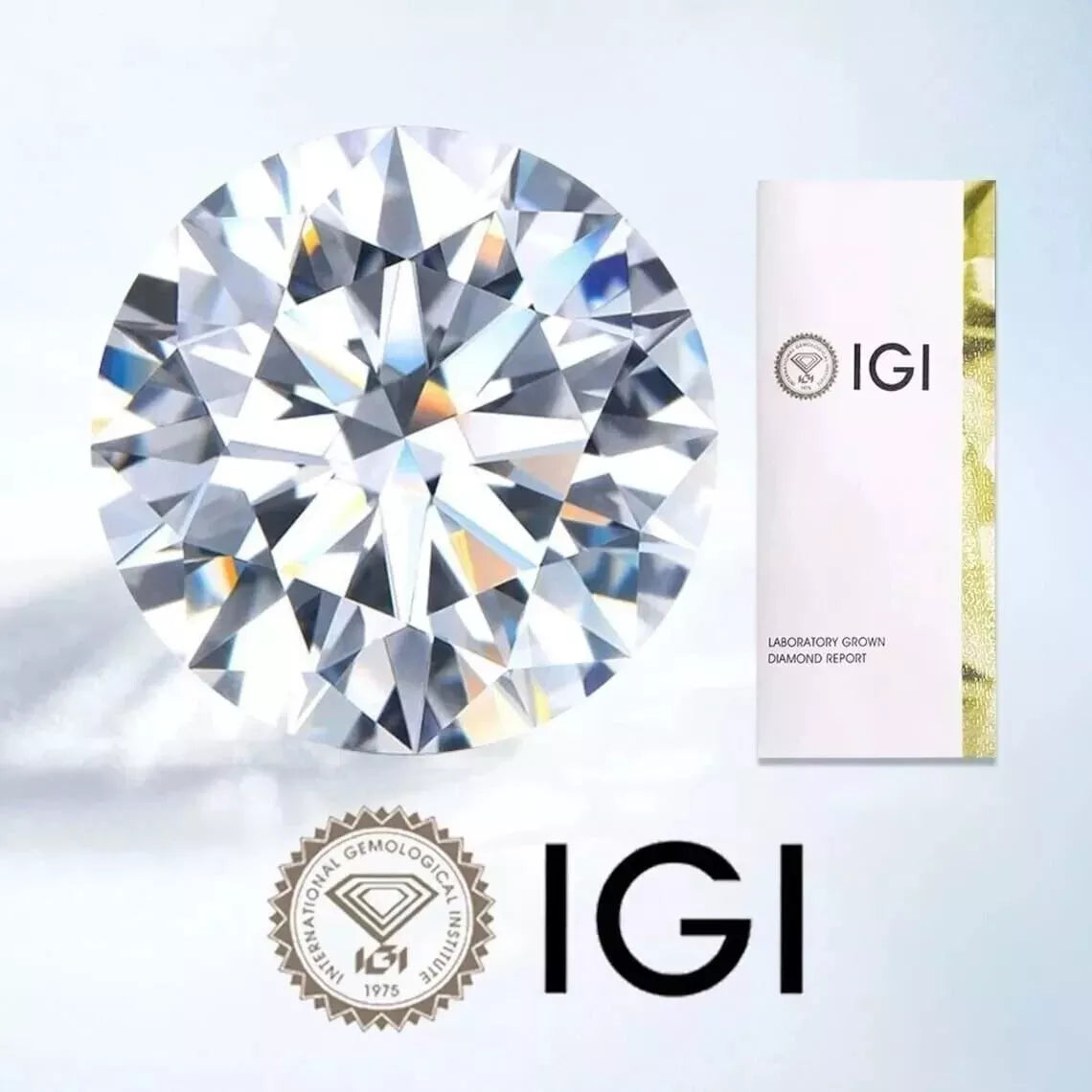 2.00 Ct. IGI Certified Lab Grown Diamond Stud Earrings (1.00 Ct Each) – 4-Prong Screw-Back | 14K White Gold & Silver | E/F VS | Black Jack®
