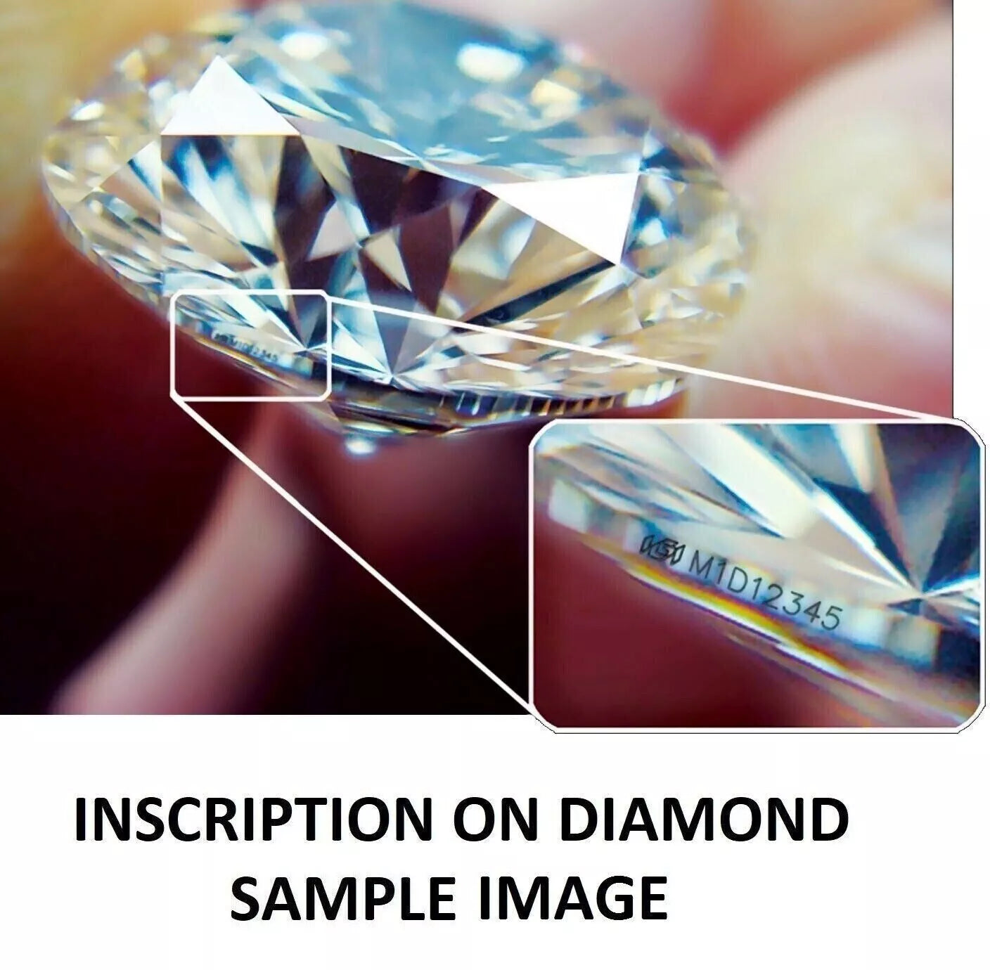 2.00 Ct. IGI Certified Lab Grown Diamond Stud Earrings (1.00 Ct Each) – 4-Prong Screw-Back | 14K White Gold & Silver | E/F VS | Black Jack®